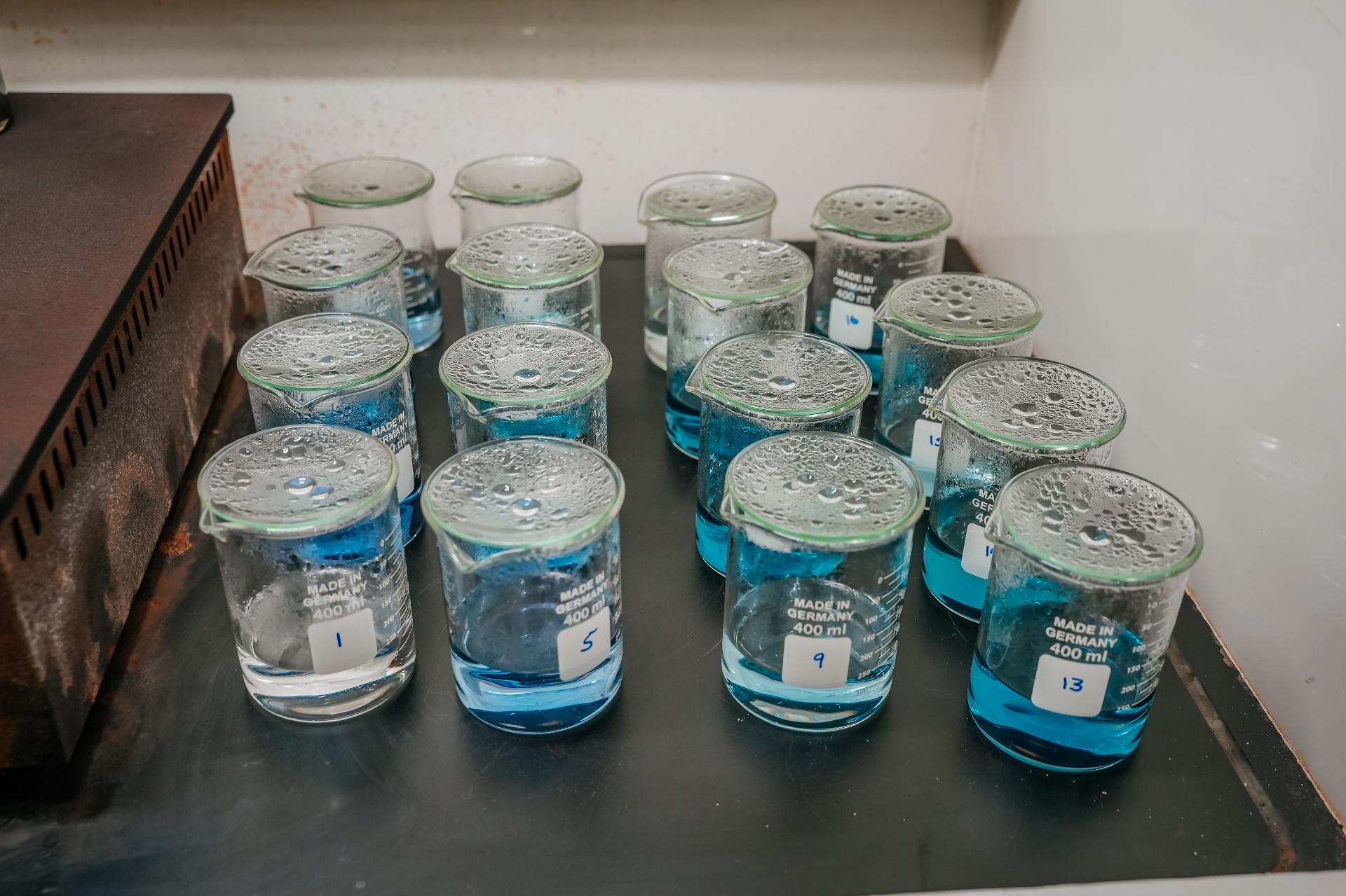 DSC04763 - Leaching Chemicals -